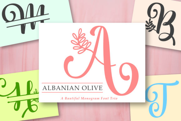 Albanian Olive Monogram: Elegant Script Review