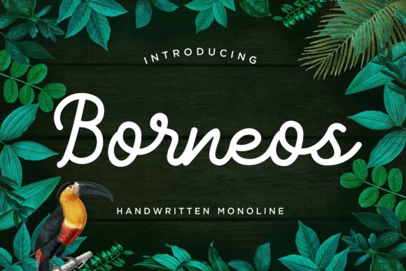 Borneos Handwritten Font for Elegant Branding Projects