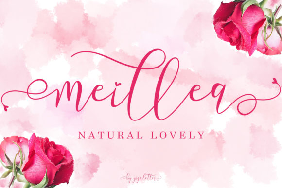 Meillea: A Delicate Script Handwritten Font for Modern Web Design