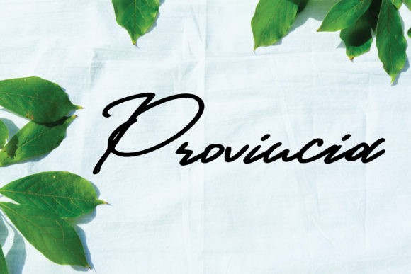 Provincia Typeface for Elegant Campaign Design