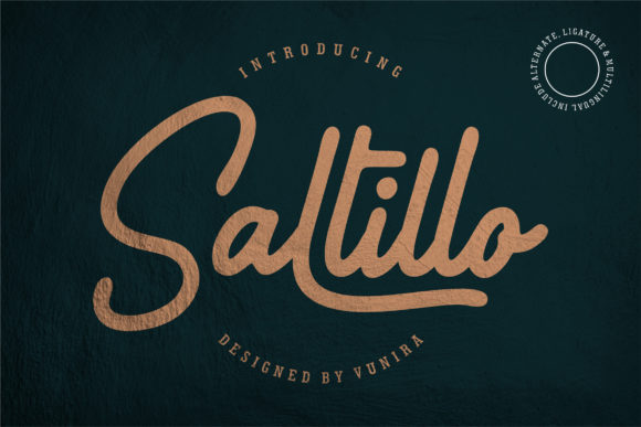 Saltillo: The Elegant Handwritten Font for Polished Brand Identity
