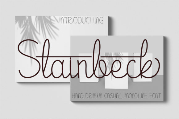 Stainbeck: A Delicate Script Handwritten Font for Elegant Branding